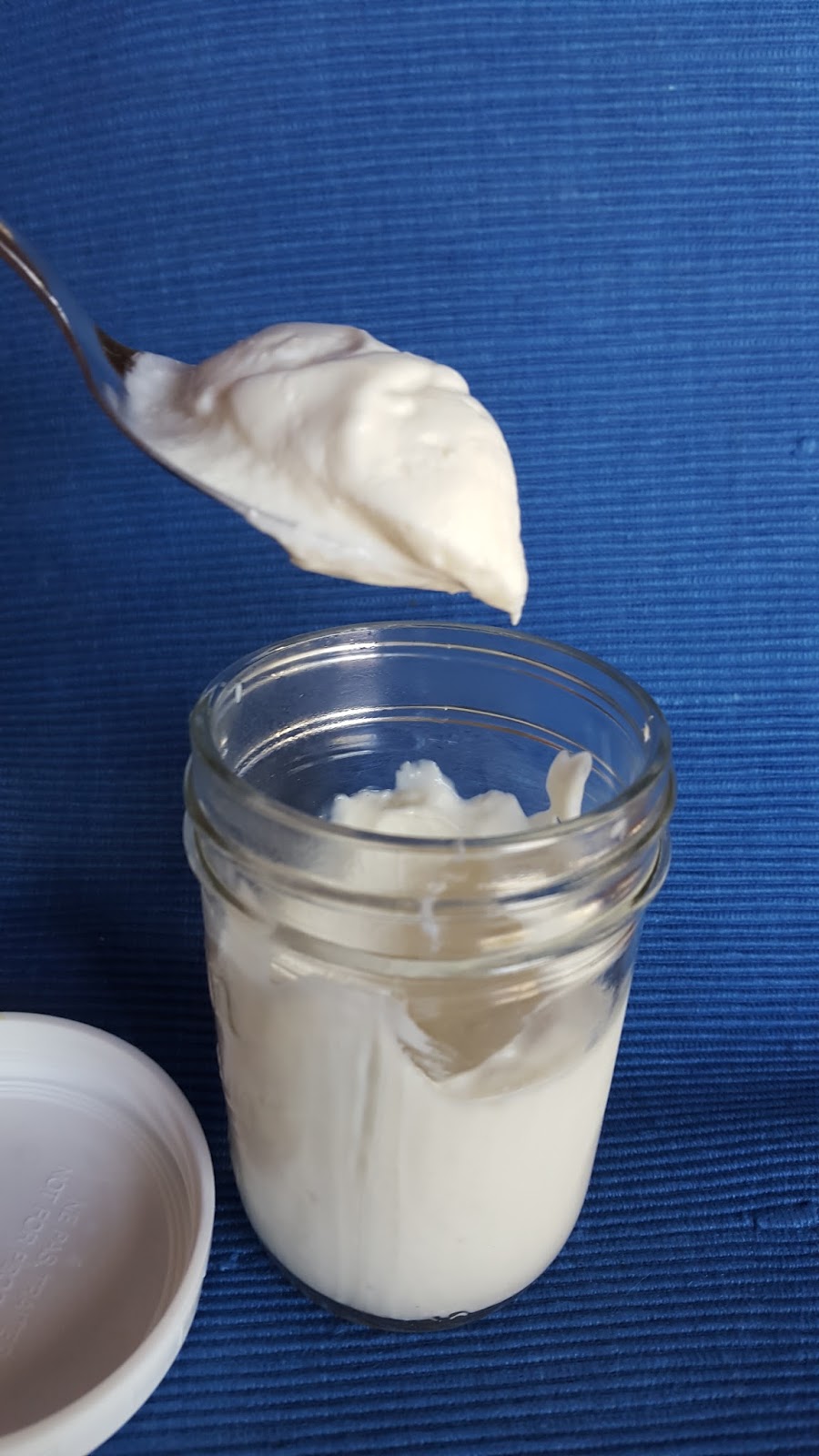 Frieda Loves Bread Cherry Chip Frozen Yogurt Jerry Garcia FroYo Copycat