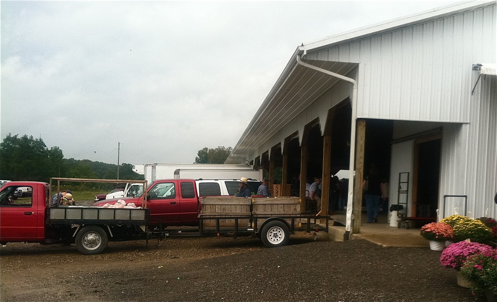 Maumee Meditations McRuryTebbe Tree Farm