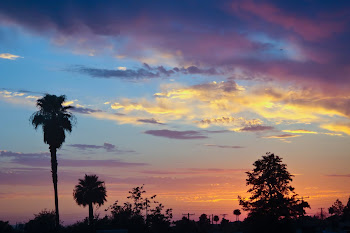 Arizona Sunset . . .