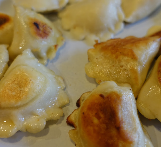 Folded over pastry dumplings on a white plate. One group are more golden and fried, with the other two groups paler