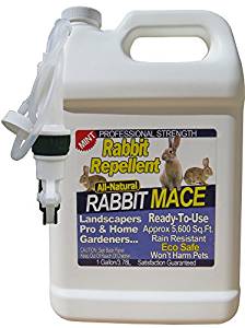 Nature's Mace 1 Gallon Ready-to-use Rabbit Repellent, 5600 Sq Ft - University Study - Proven Techno
