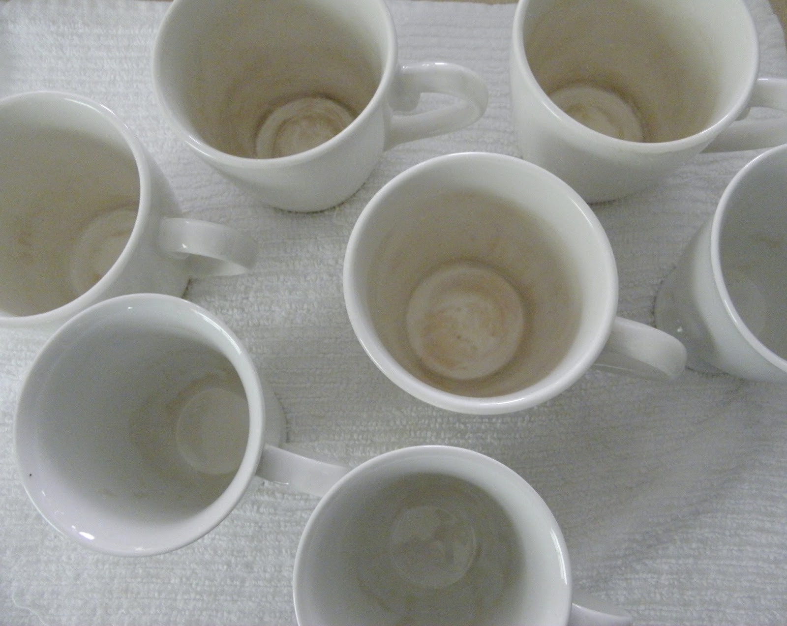 Cleaning Stained Cups