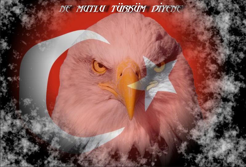 Kartal resimli turk bayraklari 2