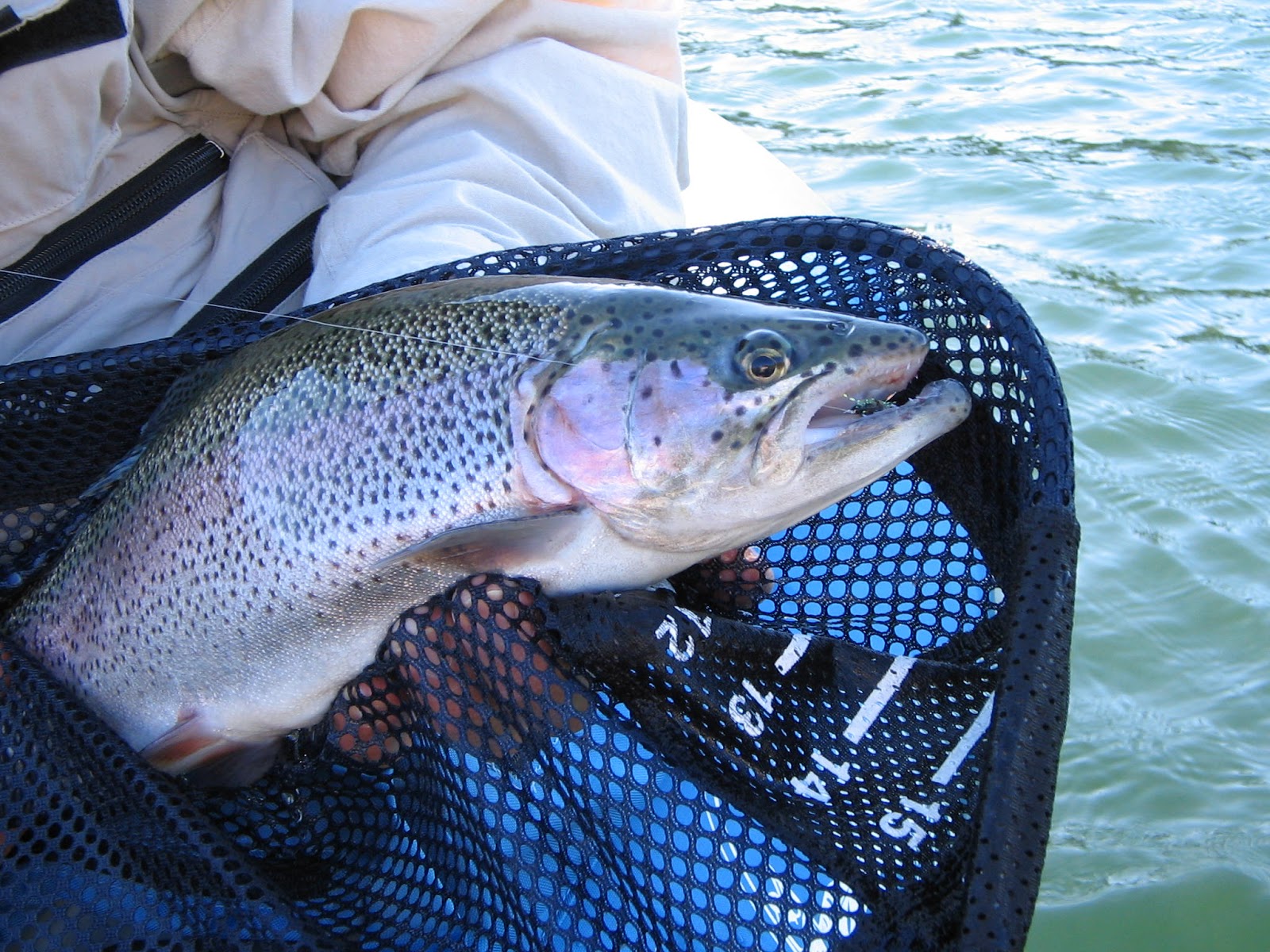 Sawmill Lake Fly Fishing 2015