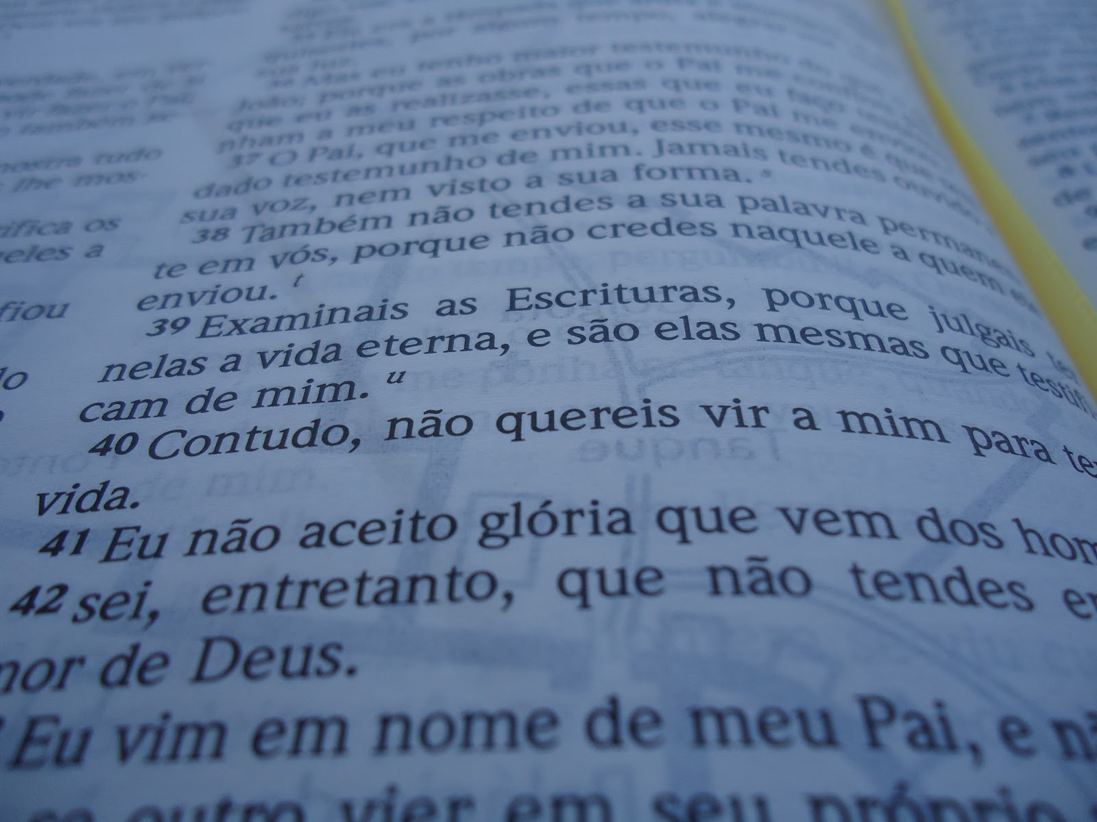 Espaço Gospel A importância de ler