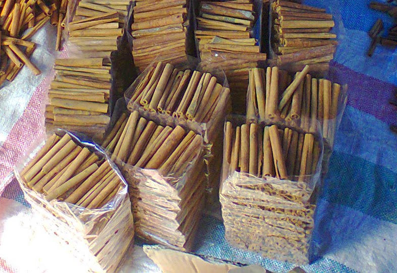 TAKTIK INDONESIA Cinnamon  kulit  kayu  manis  asli dari 