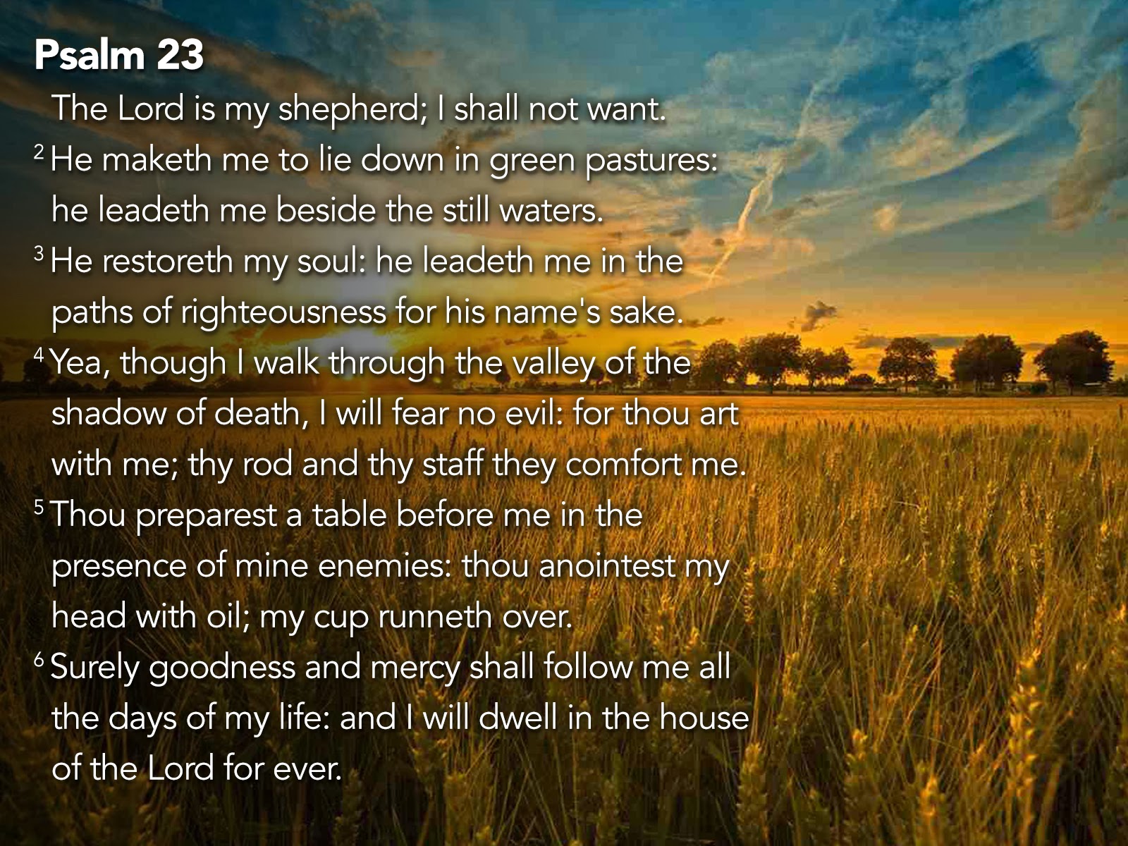 Welcome To DavidCharlton blogspot October 23 2013 From Our Heart 