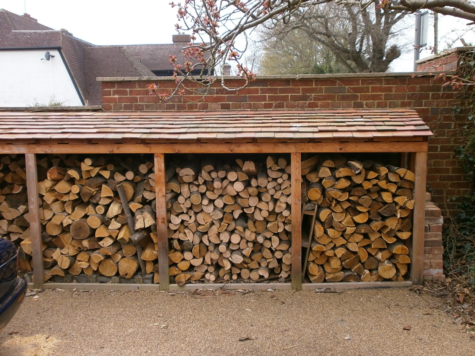 Down in Dens Wood Log Stores (and bluebells)