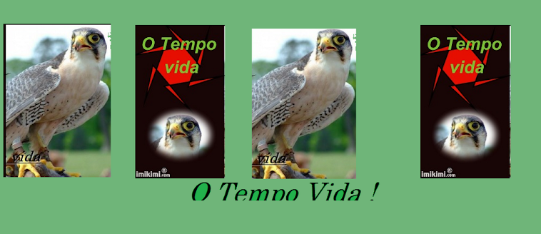 O tempo Vida !