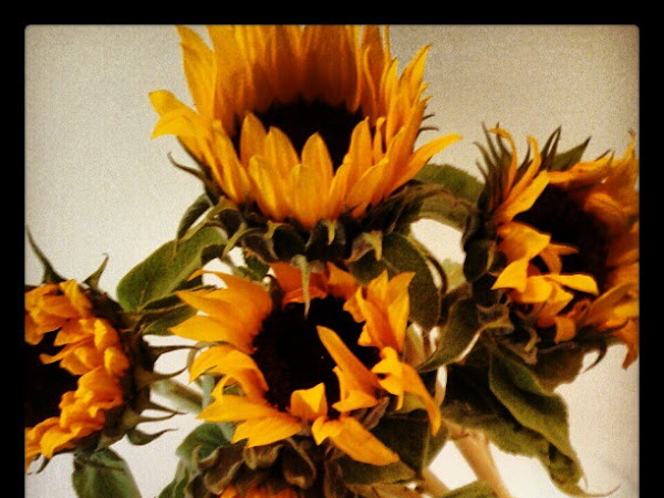 Sunflowers make me smile