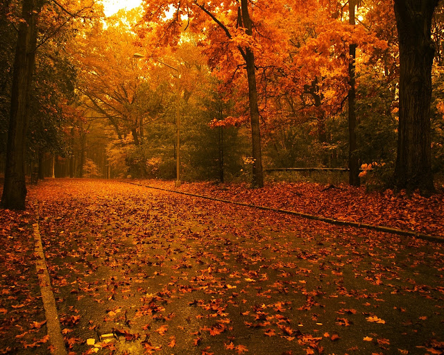 Autumn-pictures-+Wallpaper-Photos-gallery-2011-017