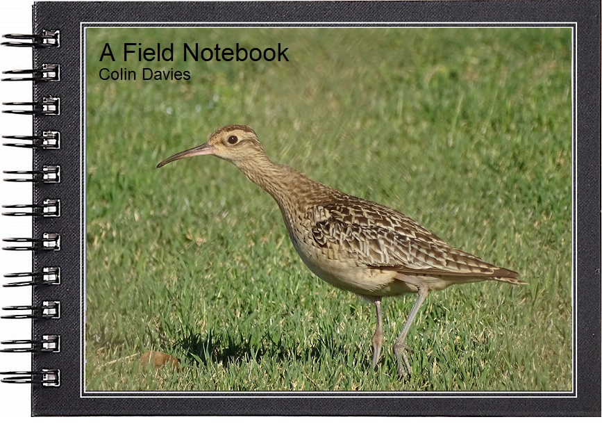 A Field Notebook