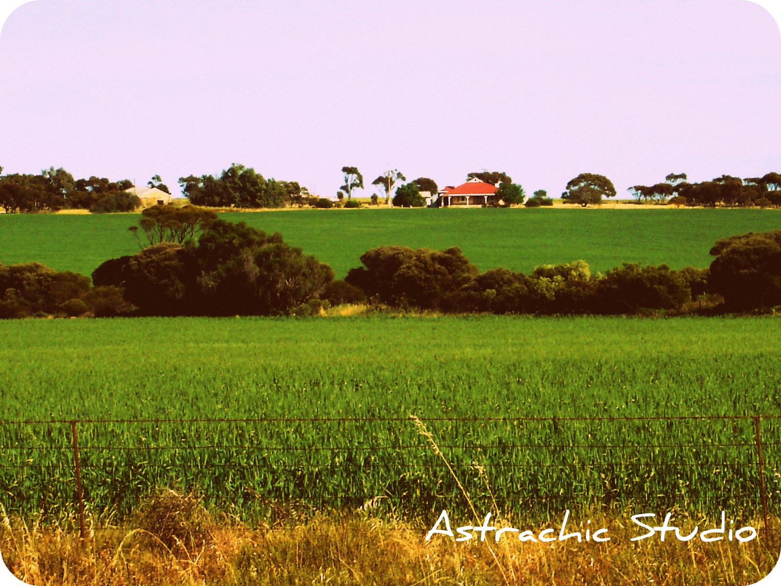 Astrachic Studio Spring visit to South Australia.... lots of Country Time