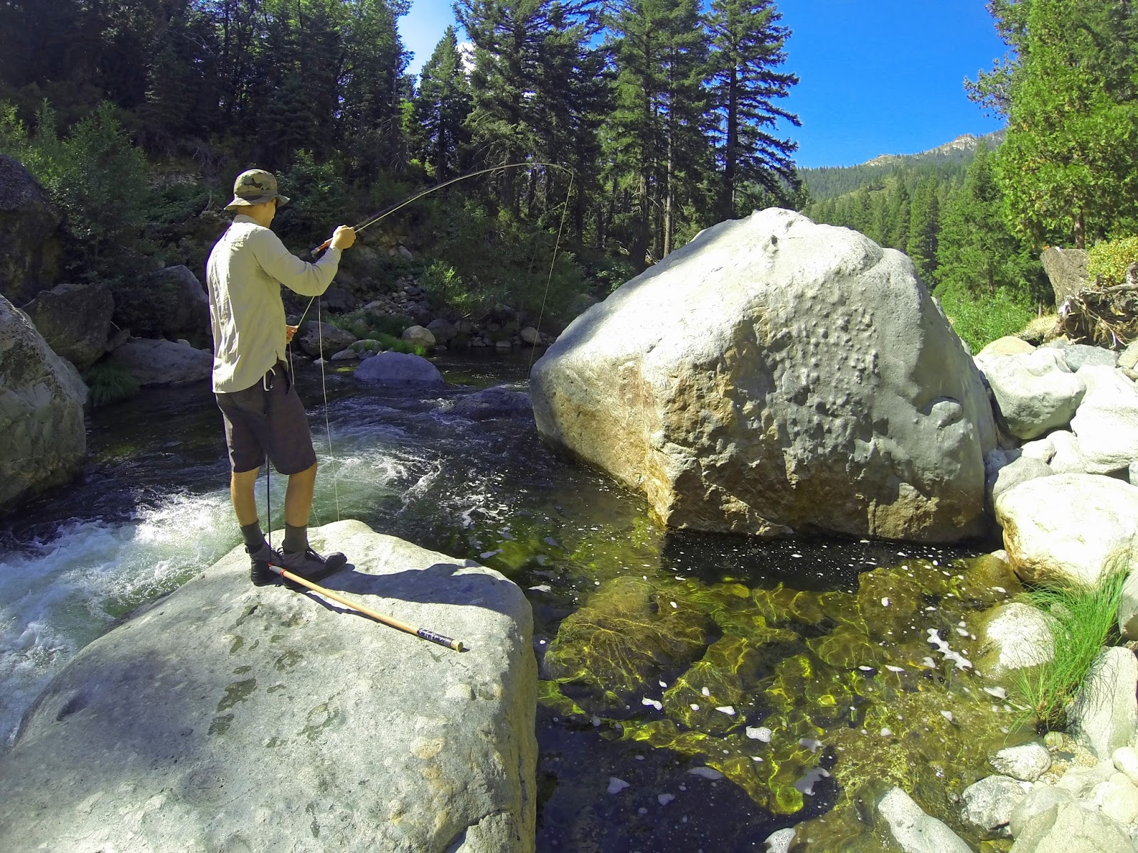 Jon Baiocchi Fly Fishing News North Fork Yuba River Jamison Creek