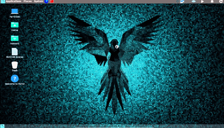 Parrot parrot security hacking Linux Debian HD wallpaper   Wallpaperbetter