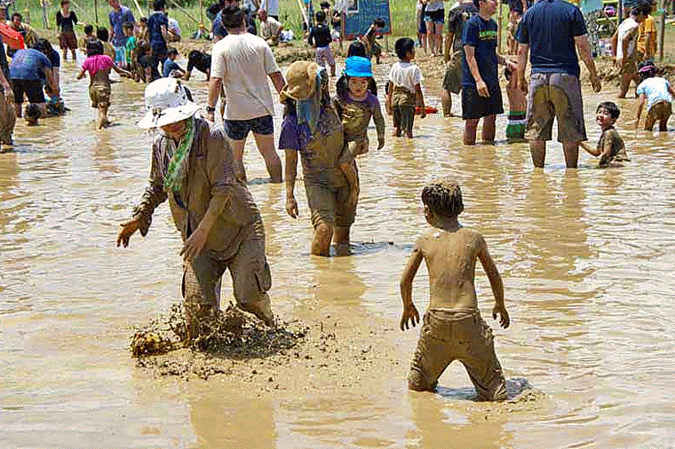 Ryukyu Life Animated Highlights of Kin Town's 2015 Mud Festival