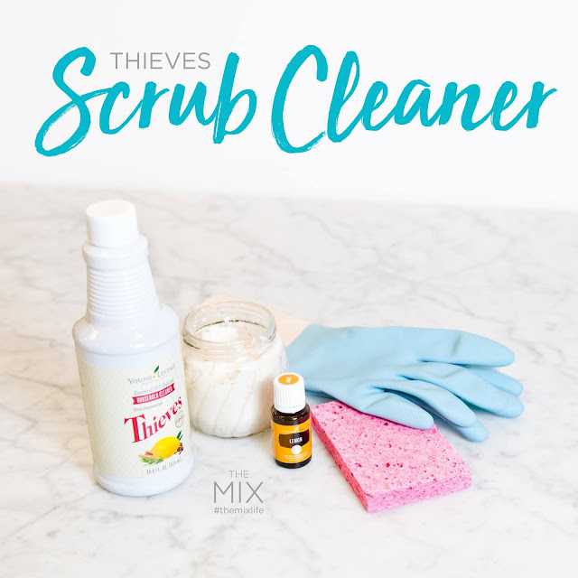 Toxin Free Living Cleaning Your Oven Thieves Scrub Cleaner