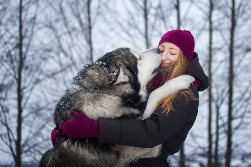 Shelter Dog Adopted Happy Shelter Dog Adopted Happy