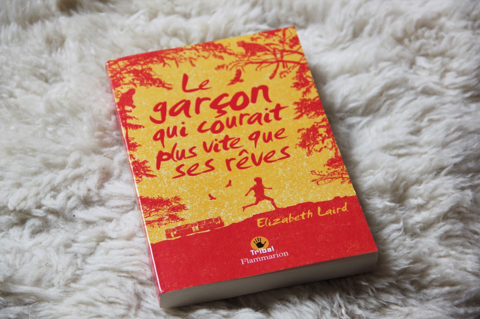 Le Bal des Livres Fous: Le garçon qui courait plus vite que ses rêves