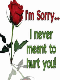 I am sorry WhatsApp dp I am sorry WhatsApp dp
