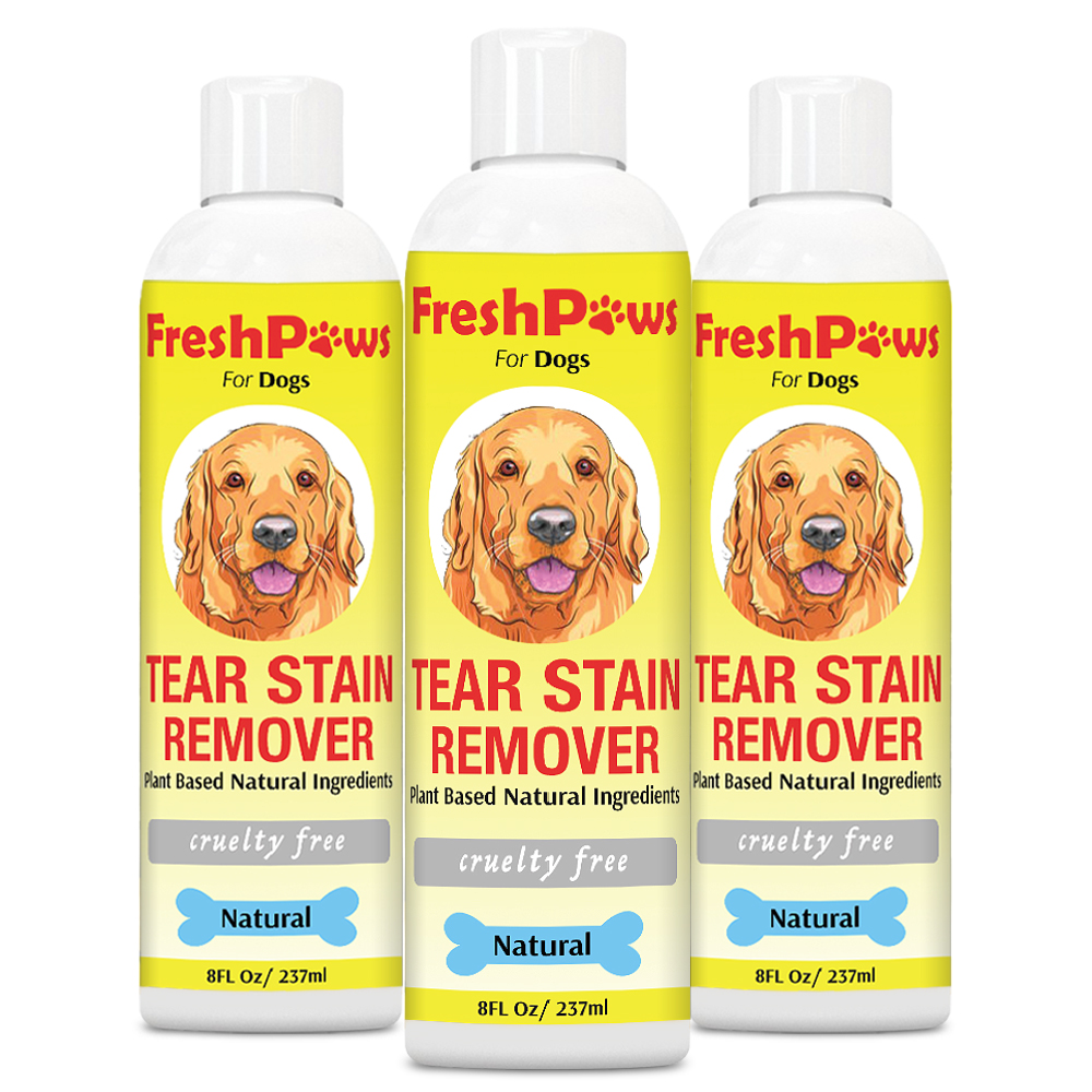 First day of many Tear Stain Remover for Dogs and Animals Giveaway freshpaws First day of many Tear Stain Remover for Dogs and Animals Giveaway freshpaws