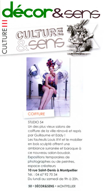 N° de février-mars 2013, Décor et Sens, article concernant le Studio 54, salon de coiffure à Montpellier Article concernant l'ouverture du Studio 54 coiffure, des soirées à thème organisées, et des offres proposées.