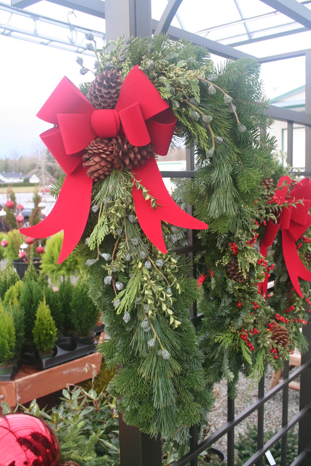 West Coast Gardens Fresh Evergreen Boughs, Wreaths and planters