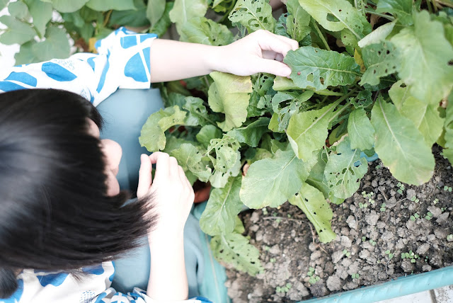 KIDISLAND兒童島插畫家Yukito與許許兒