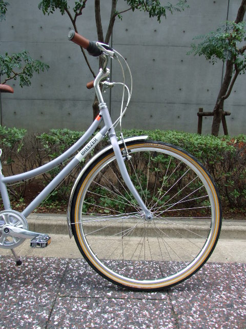 breezer downtown ex