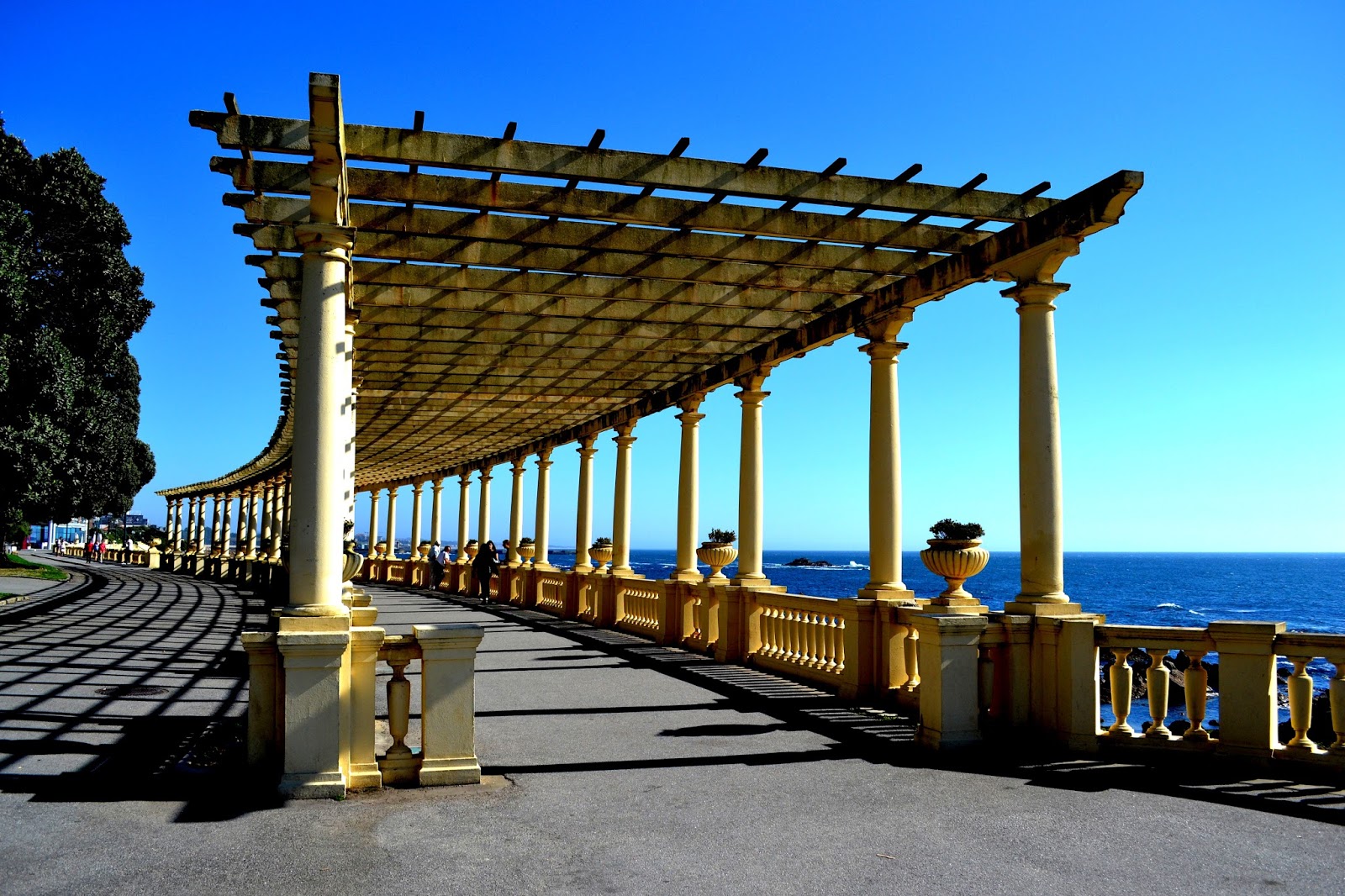 Check in Online Foz do Douro