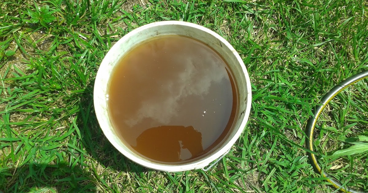 smelly cistern water
