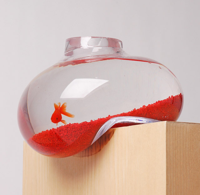 artistic fish tank ideas