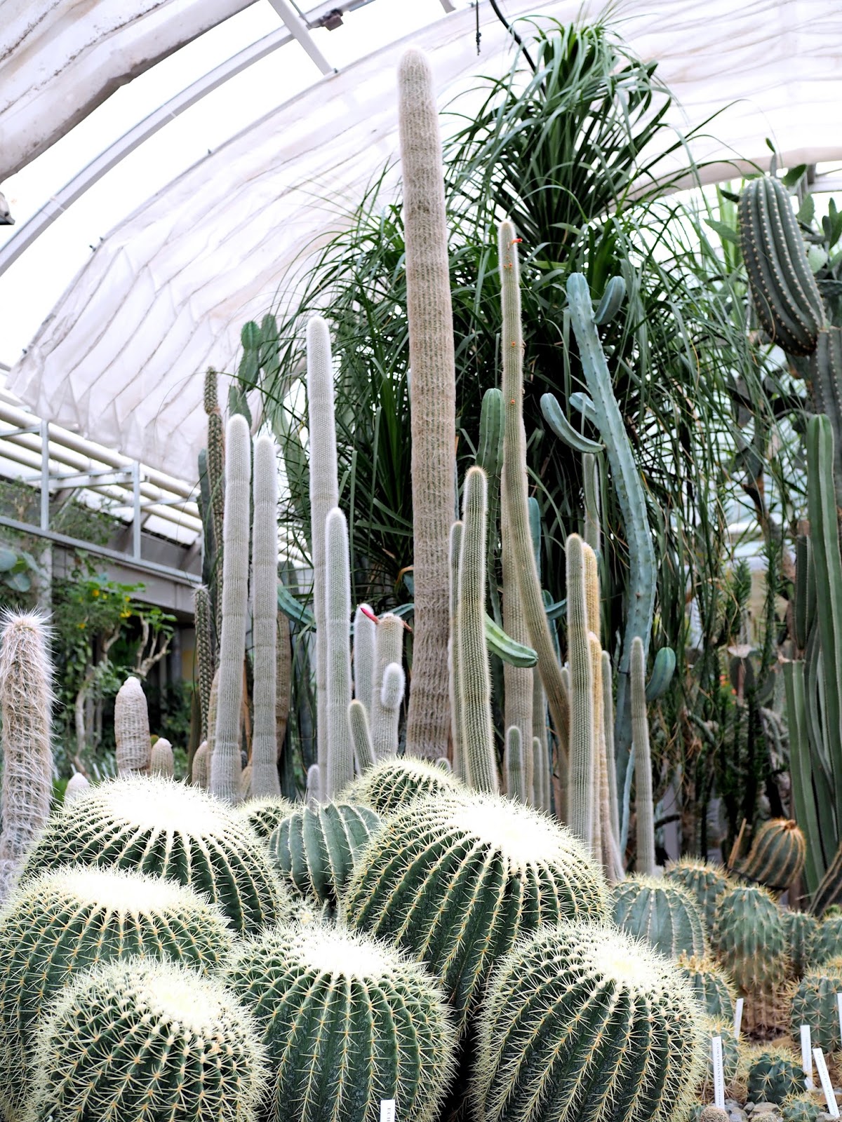 botanická zahrada brno botanická zahrada brno