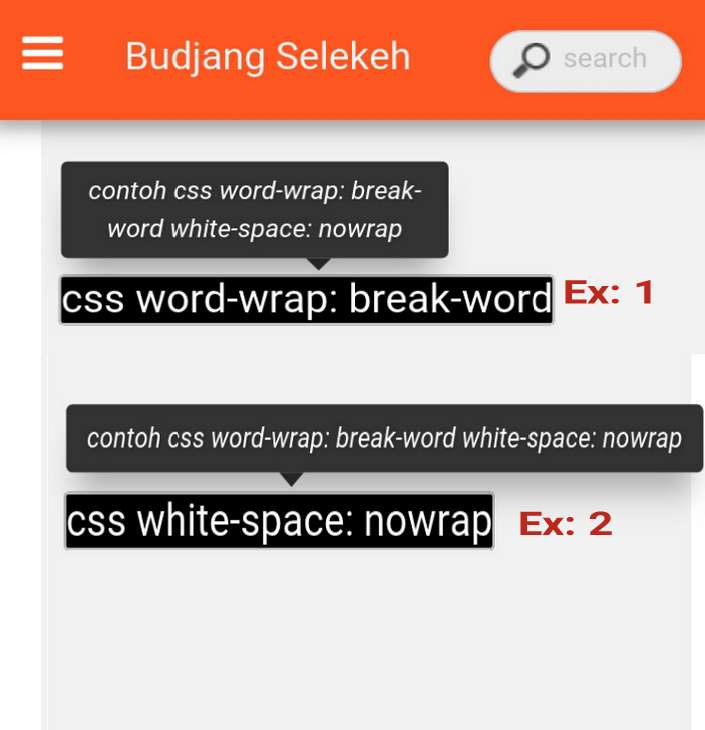 css nowrap dan break-word pada Tooltip