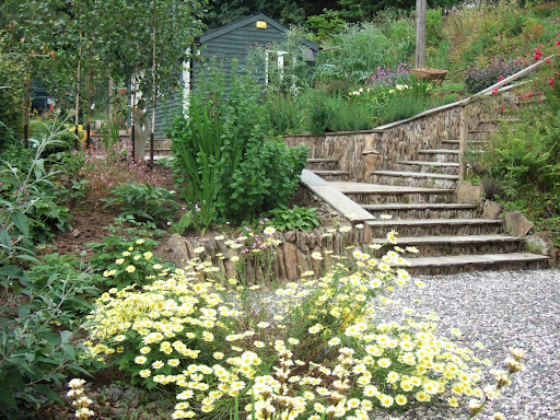 BAckyard design ideas, backyard landscape design, backyard landscaping, backyard garden, backyard design, backyard ideas
