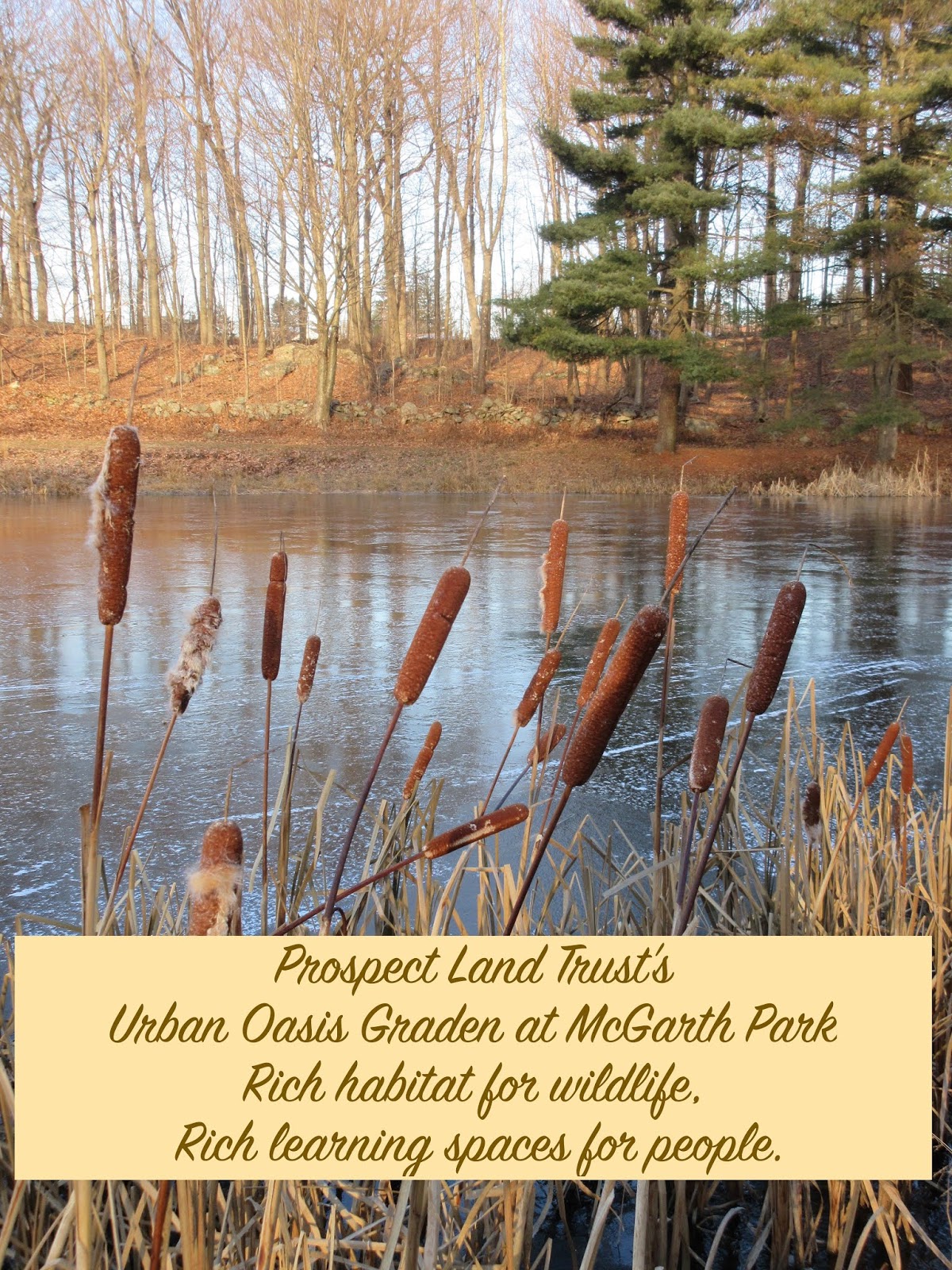 Prospect Land Trust...