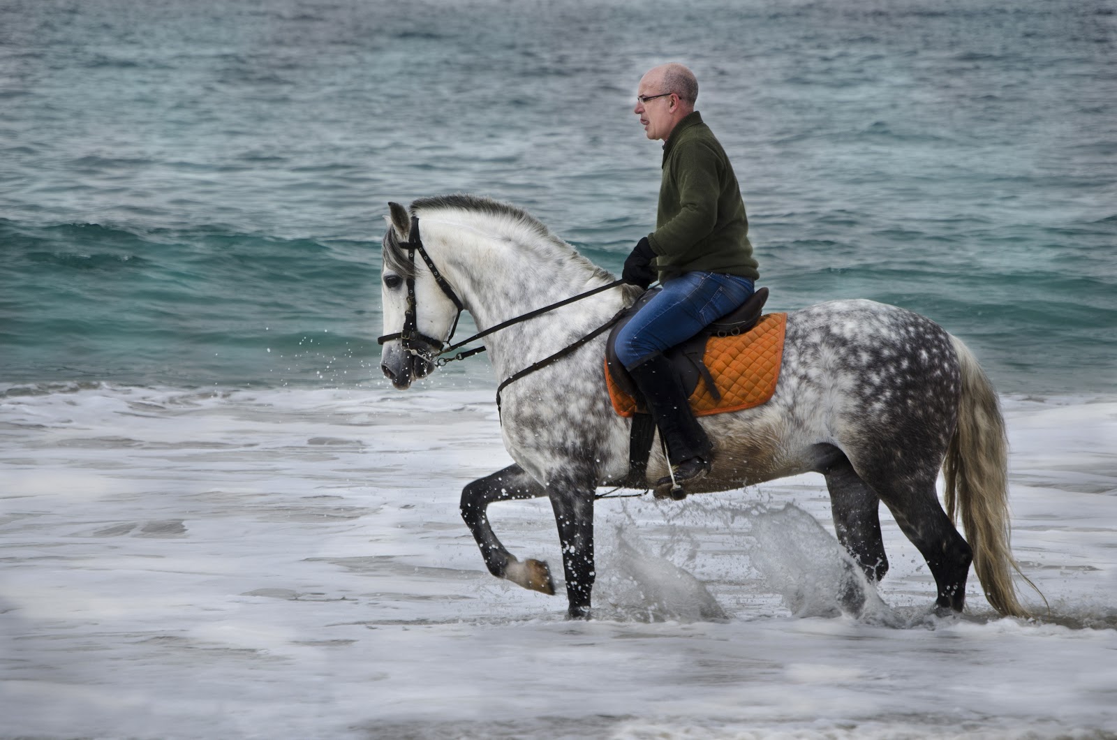 Cabalgando Rico EISV IMAGEN: Cabalgando...