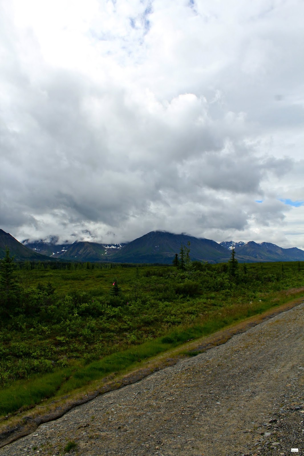 The Drive to Cantwell in the Denali State Park // Alaska Caravan