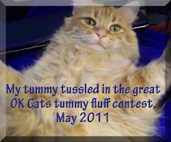 2011 Tummy Contest