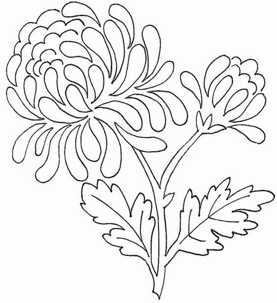 Tranh tô màu hoa cúc « in hình này