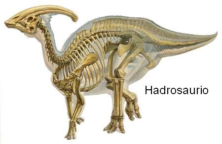 hadrosauriogf5lv9.jpg