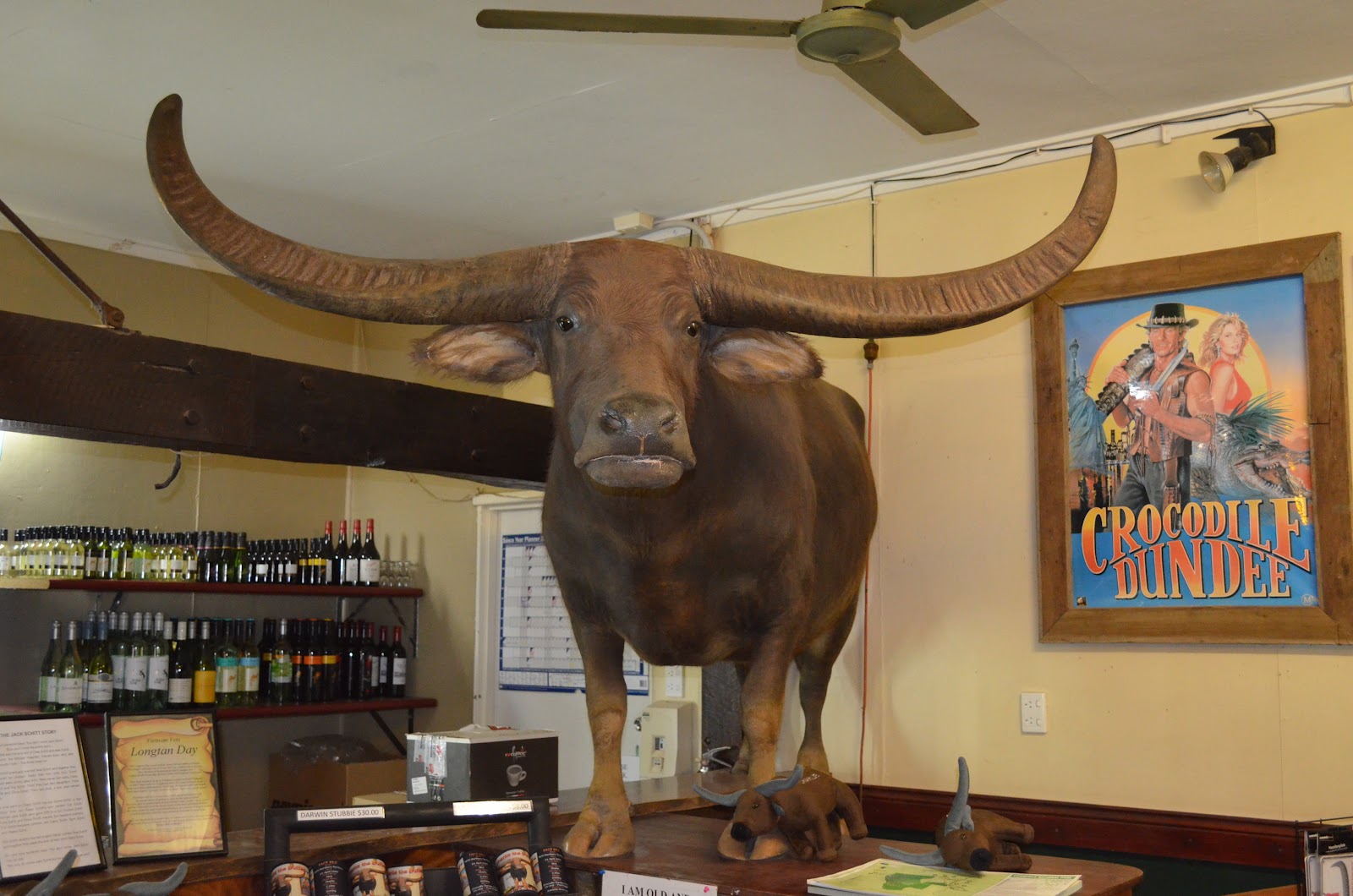 Peter and Gaila's Travels