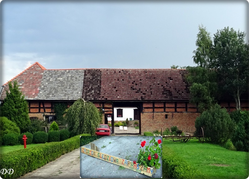 SPOJRZENIE KOBIETY I po upałach. Starkowo ZAGRODA ŚLEDZIOWA