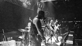 Dendrites live photo Dendrites live photo