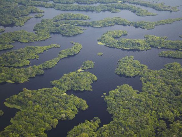 Amazonia View over the Amazonia forest