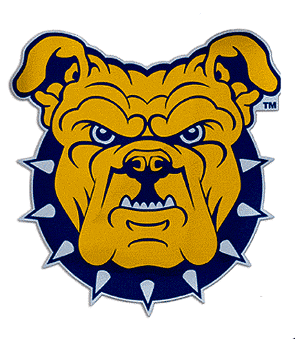 And Impots Noth Caolina A&T State Aggies NCAA 12 Oz