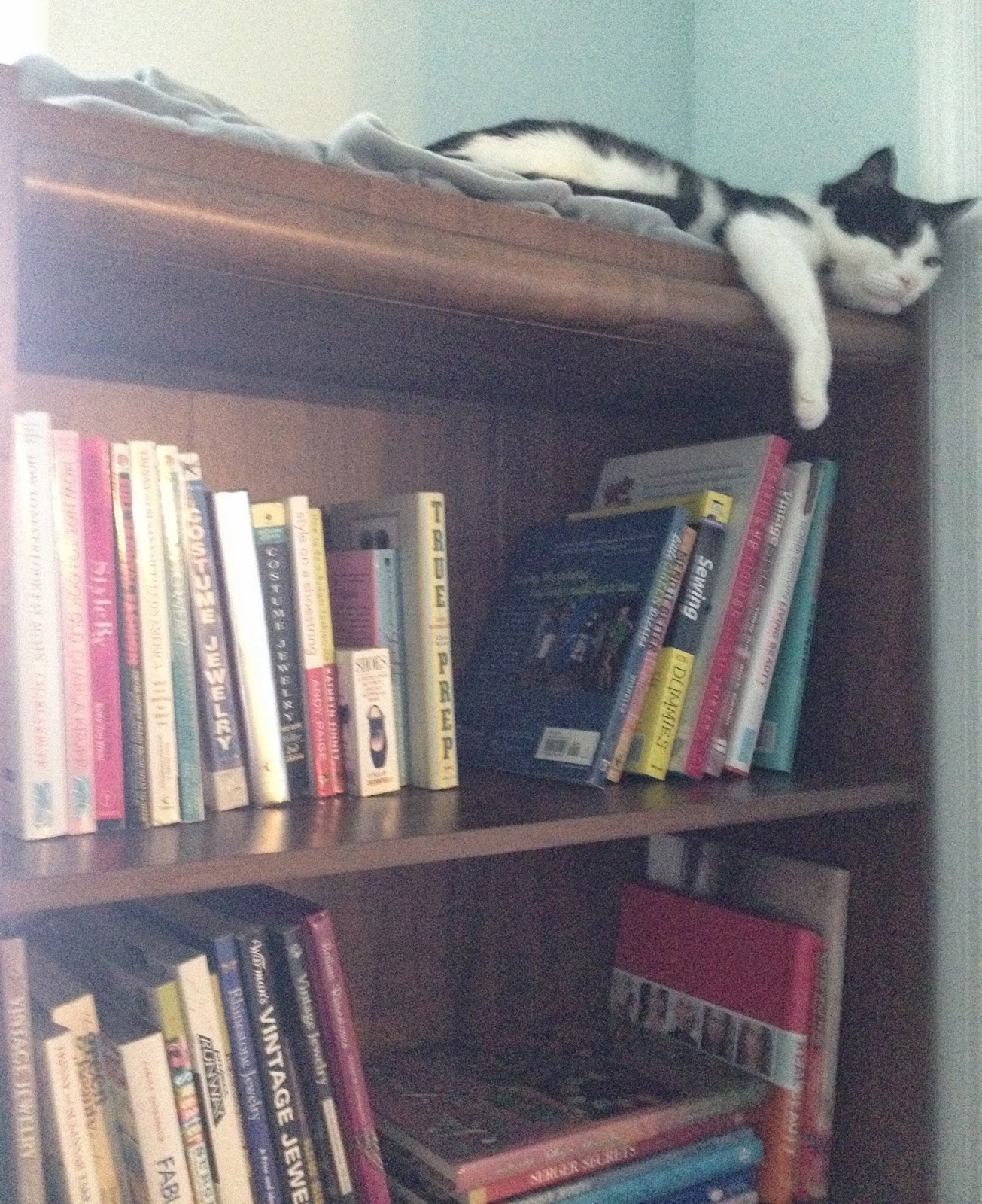 Quickie DIY A Cat Friendly Small Entryway with a Bookcase