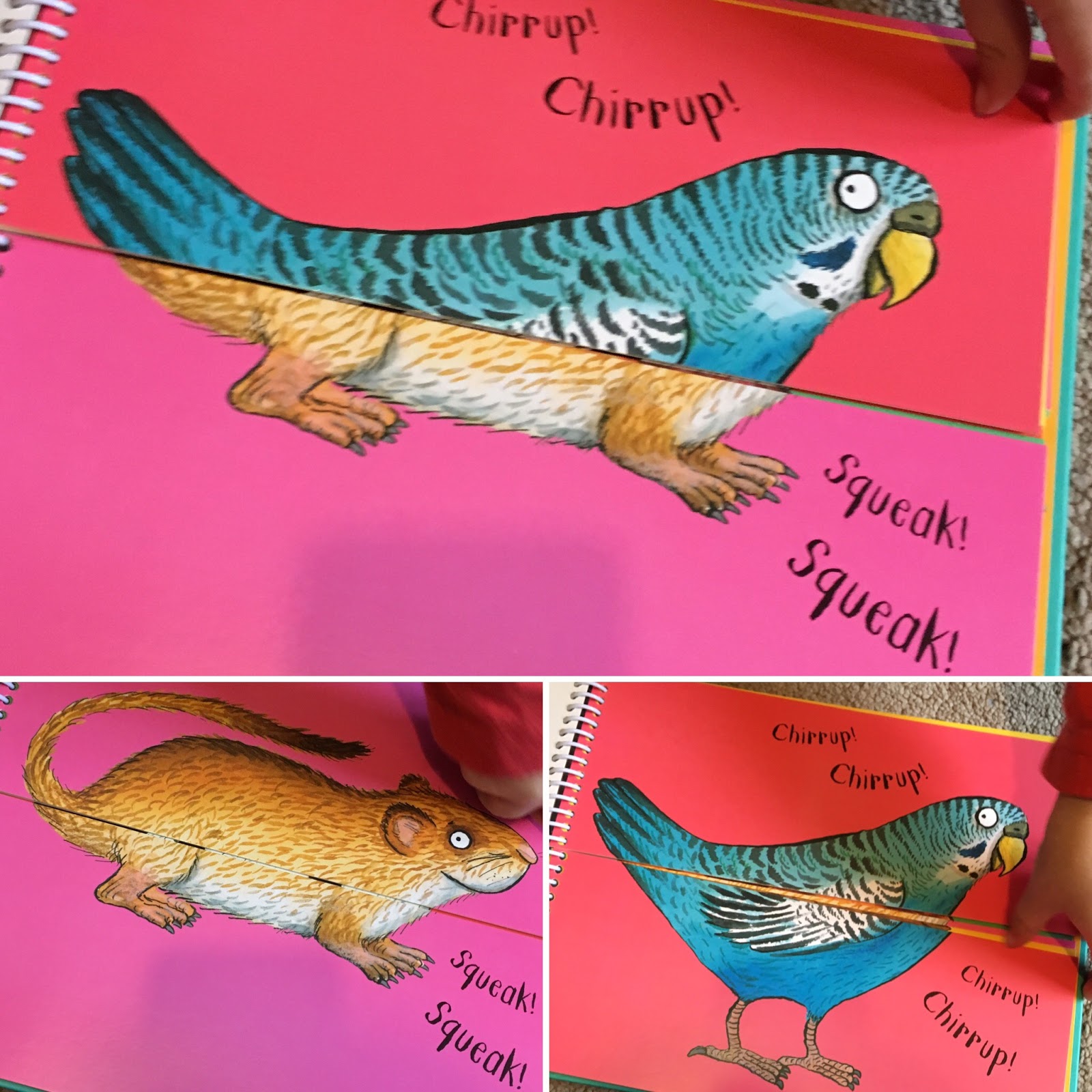 Along Came Poppy 366 Books In 366 Days Axel Scheffler's Flip Flap Pets