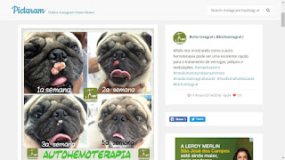 Instagram Publishing