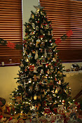 CHRISTMAS TREE'S 2015 - Click on Photo